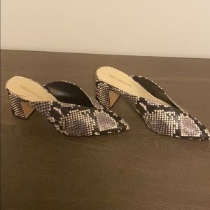 Snake skin mules